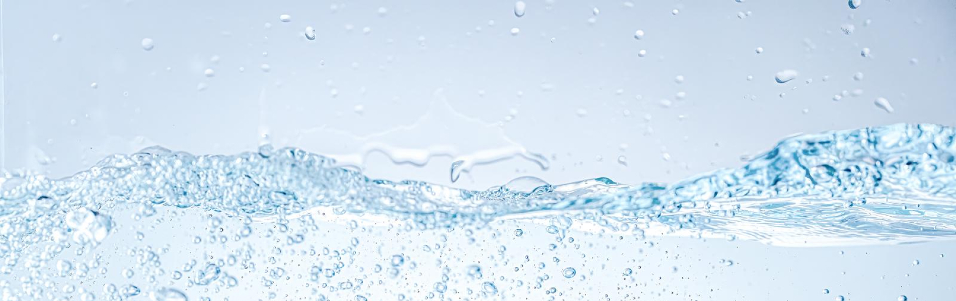 多発性嚢胞腎協会・個人入会の流れ