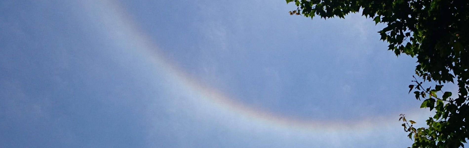 多発性嚢胞腎協会について